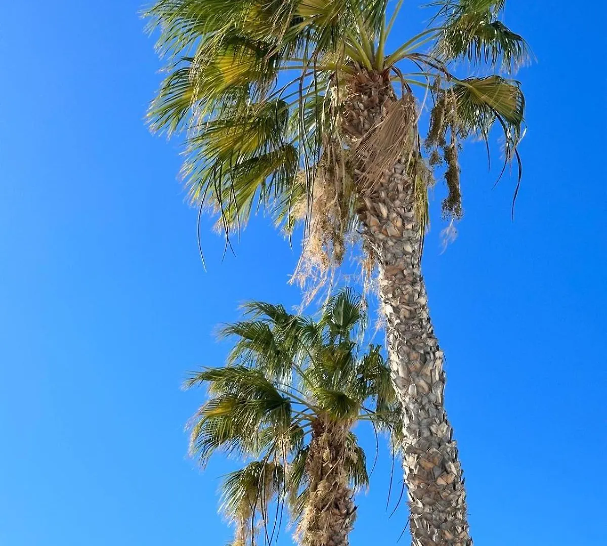 Holiday home Sunny Apartment Puerto del Carmen